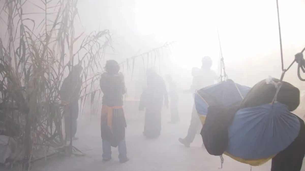 Intercetti, Bologna — la sala nella nebbia con canne e amache sospese
