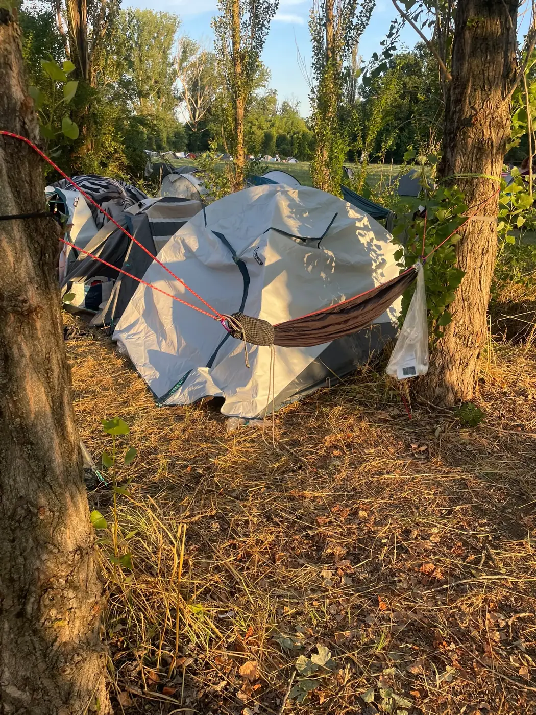 Amaca marrone appesa tra due pioppi in un campeggio al tramonto