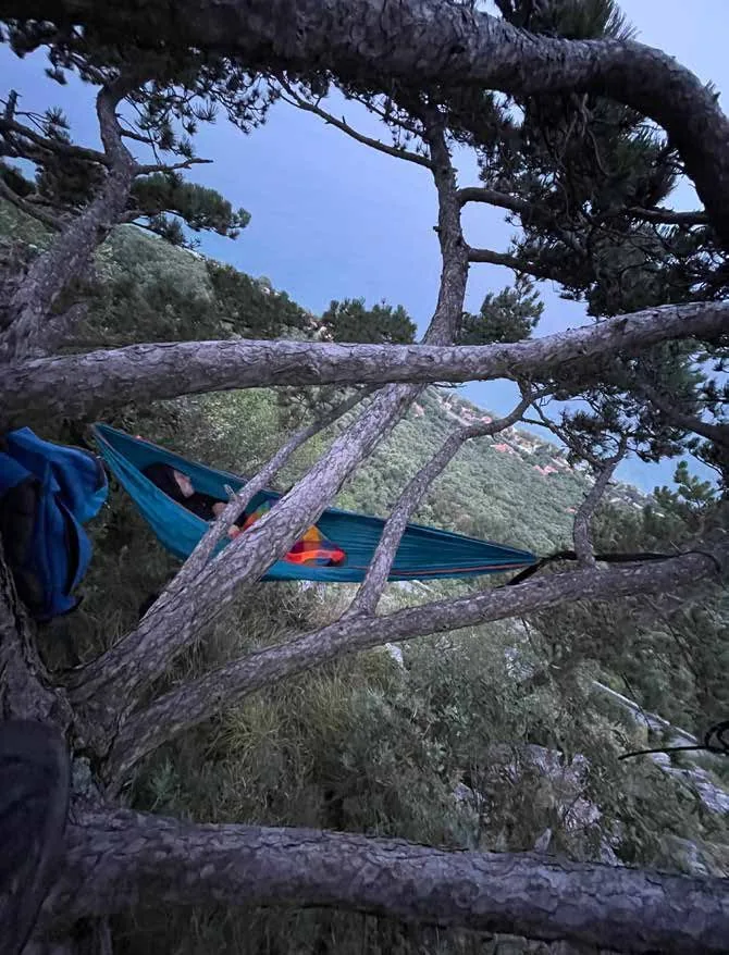 Amaca sospesa tra i rami di un pino sul mare