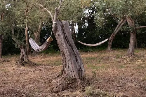 Tessere il mare — più amache nell'uliveto