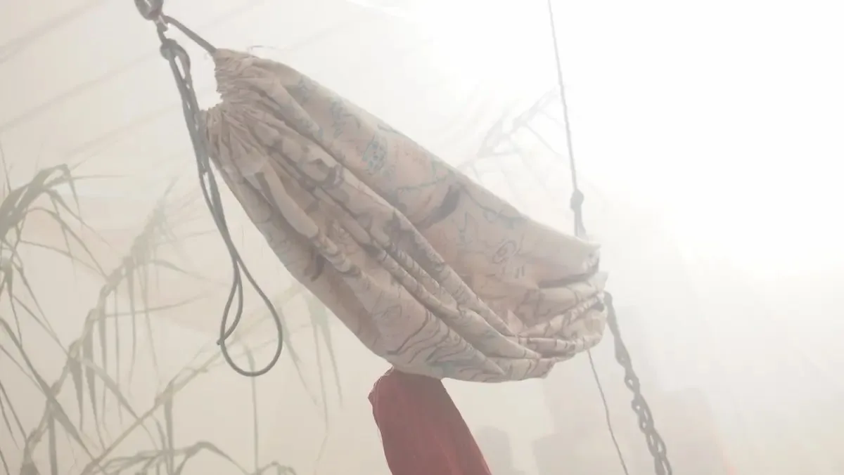 Intercetti, Bologna — amaca avvolta nella nebbia