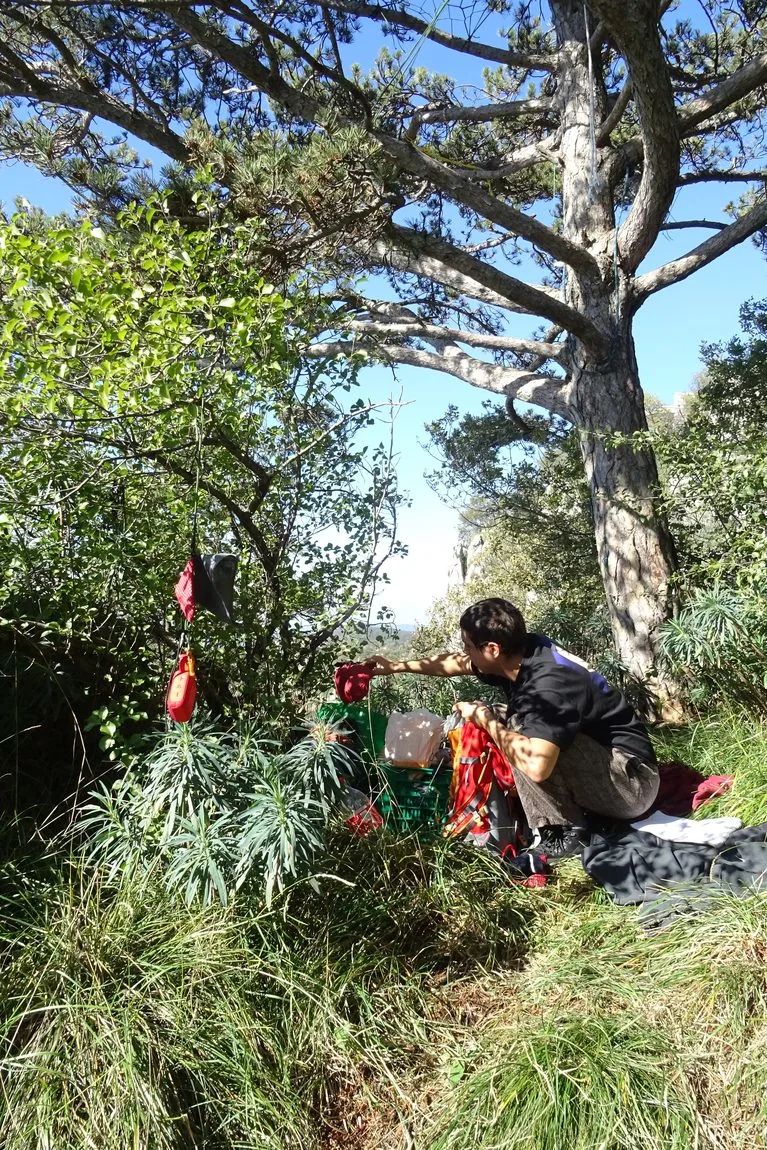 Tra l'attrezzatura sotto il pino, la valle sullo sfondo