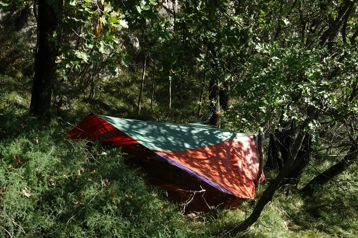 Tarp teso nel bosco sopra l'amaca, tra le querce