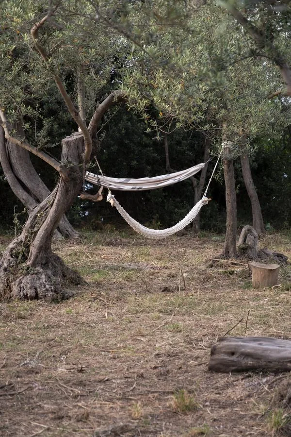 Tessere il mare — amaca sospesa nell'uliveto